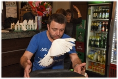 Детска парти агенция "ФОКУС МОКУС"
